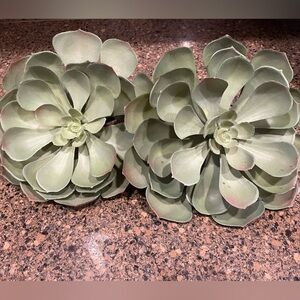 Pottery Barn Succulent Stems set of two